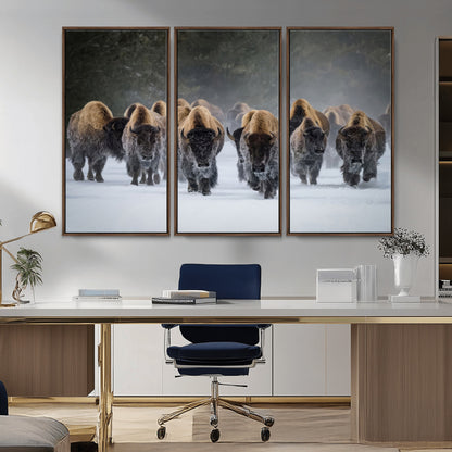 A herd of American bisons walking through deep snow in a forest, evoking a powerful rustic wilderness mood for western-style interiors.