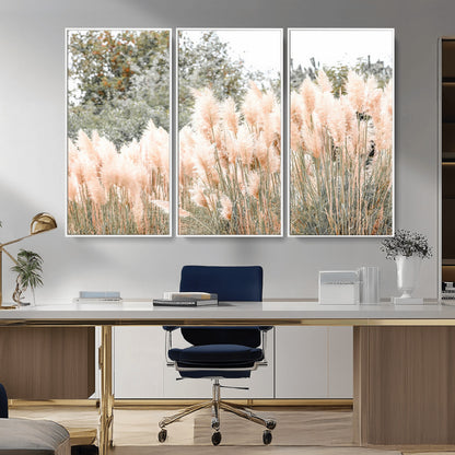 Soft pastel pampas grasses in a natural setting, ideal for neutral boho or rustic botanical-style interior wall decoration.