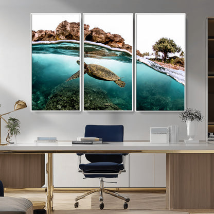 Dynamic split-view photo of a sea turtle swimming near rocky shores, perfect for vibrant coastal or tropical beach home decor.