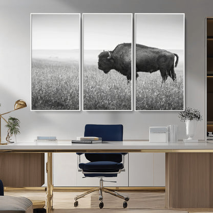 A black and white photograph of a majestic bison standing in a vast grassy prairie, evoking a sense of wilderness and strength.