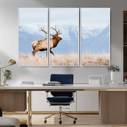 An elk walking on snowy grassland with majestic mountains in the background, ideal for rustic lodge or cabin wall decor.