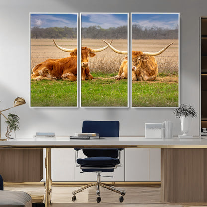 Two longhorn cows lying on green grass in front of a golden field and trees under a blue sky, perfect for rustic country wall decor.