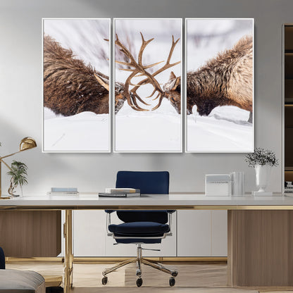 Two elk clashing antlers in a snowy forest, capturing raw power and wild energy, ideal for rustic cabin or lodge-style decor.