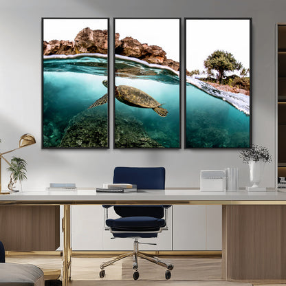Dynamic split-view photo of a sea turtle swimming near rocky shores, perfect for vibrant coastal or tropical beach home decor.