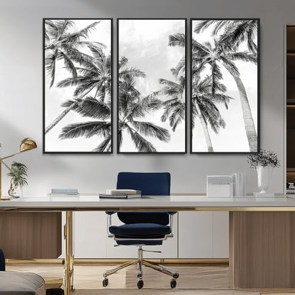 Black and white tropical palm trees viewed from below, swaying gently against a bright sky, creating a serene and elegant coastal atmosphere.