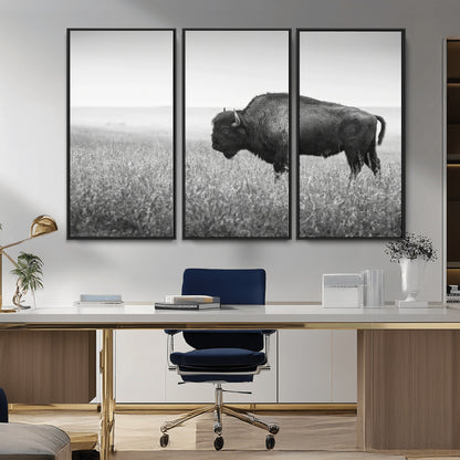 A black and white photograph of a majestic bison standing in a vast grassy prairie, evoking a sense of wilderness and strength.