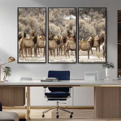 A large herd of elk standing in an open field with soft earthy tones, ideal for rustic lodge or western-themed home wall decor.