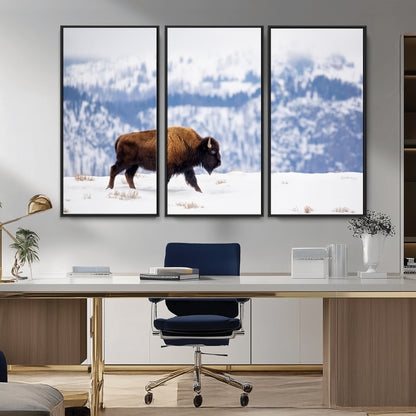 A lone bison walks across snowy ground with blue-toned mountain range behind, ideal for rustic or western farmhouse interiors.