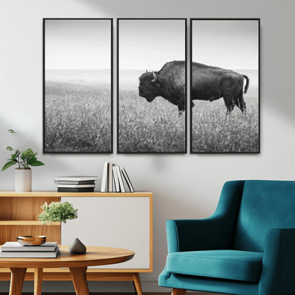 A black and white photograph of a majestic bison standing in a vast grassy prairie, evoking a sense of wilderness and strength.