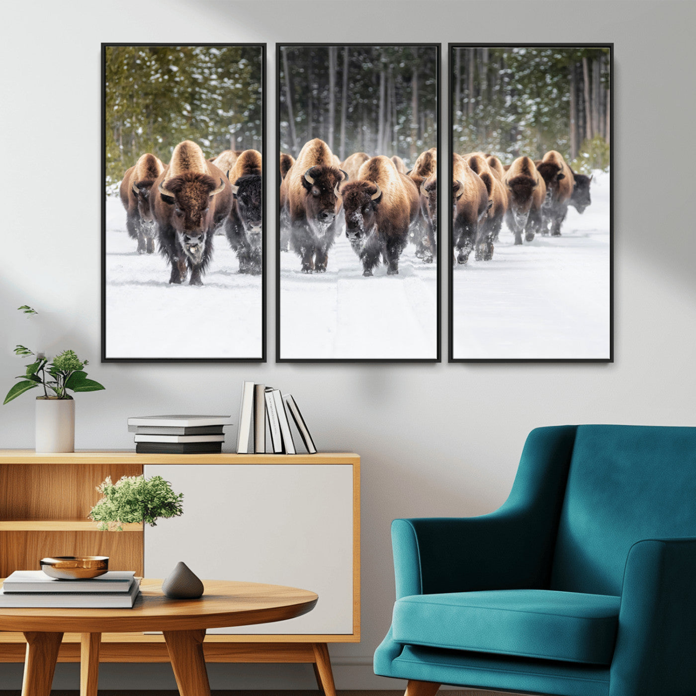 A herd of American bisons walking through a snowy forest path, perfect for rustic cabin or Western-themed wall decor.