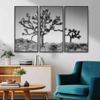 Black and white Joshua trees in a rugged desert landscape, creating a calm and minimalist feel for natural or rustic-themed interiors.
