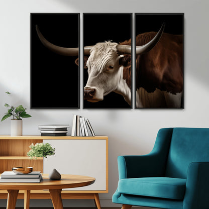 "Close-up of a brown and white longhorn cow with prominent curved horns against a black background."