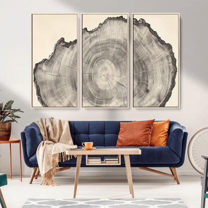 Detailed tree ring drawing in monochrome tones, ideal for rustic or nature-inspired interiors with a minimal decor aesthetic.