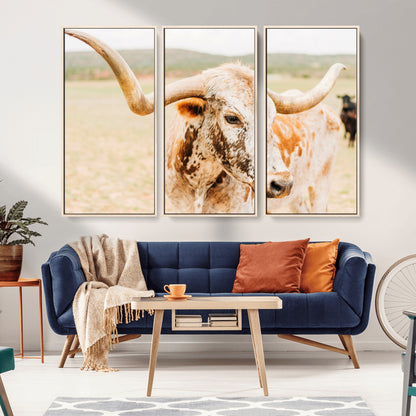 Close-up of a speckled Texas Longhorn in warm prairie tones, perfect for rustic western or countryside-themed room decor.