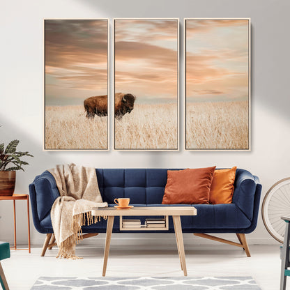 Bison Wall Art Print - Buffalo Canvas Print, featuring a lone bison in a golden prairie under a warm sunset sky, perfect for rustic and farmhouse decor.