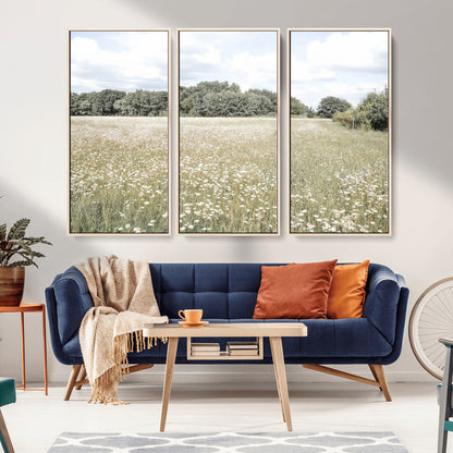 Soft-toned image of a wild daisy field under a cloudy sky, ideal for neutral or Scandinavian-inspired home decor.