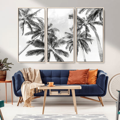 Black and white tropical palm trees viewed from below, swaying gently against a bright sky, creating a serene and elegant coastal atmosphere.
