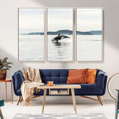An orca jumping out of calm ocean waters with a misty island in the background, creating a serene and minimalist marine wildlife scene.