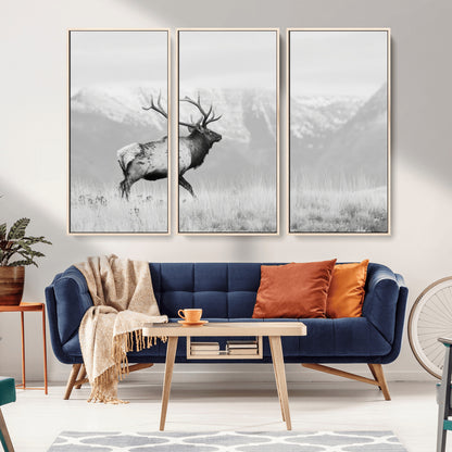 Black and white photograph of a majestic elk standing in a grassy field with snow-capped mountains in the background, creating a bold and rustic wilderness scene.