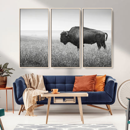 A black and white photograph of a majestic bison standing in a vast grassy prairie, evoking a sense of wilderness and strength.
