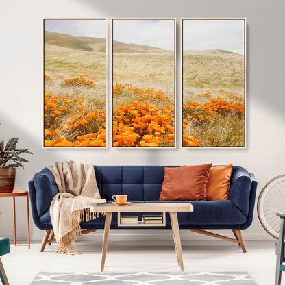 A golden field with vibrant orange poppies blooming across rolling hills under a soft, sunlit sky, creating a warm and rustic landscape.