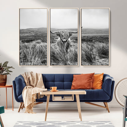 A black and white portrait of a Highland cow in a foggy Scottish countryside, capturing a rustic aesthetic and tranquil farm escape.
