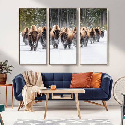 A herd of American bisons walking through a snowy forest path, perfect for rustic cabin or Western-themed wall decor.