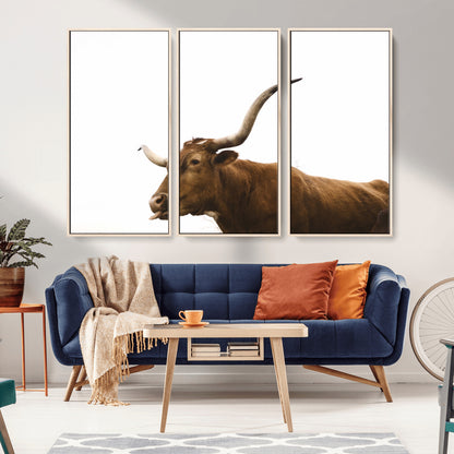 Minimal photo of a longhorn cow with white background, ideal for rustic, western or farmhouse-style interior decor.