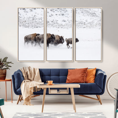 Bison herd running through a snowy open field with mountain backdrop, perfect for rustic or western-themed wall decoration.