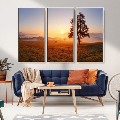 A tranquil landscape at sunrise with a mist-covered field and a lone tree, creating a peaceful and natural atmosphere.