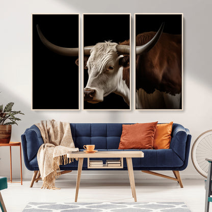 "Close-up of a brown and white longhorn cow with prominent curved horns against a black background."