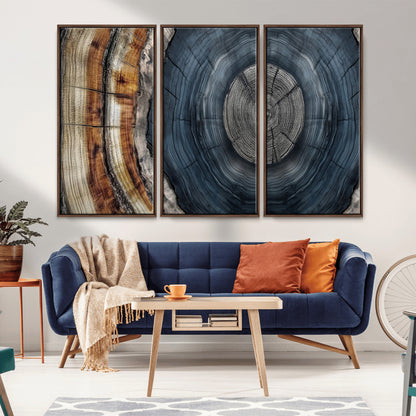 A stunning close-up of a tree trunk showing the intricate, circular growth rings, showcasing the natural textures and rich contrasts in deep blues, browns, and silvers.