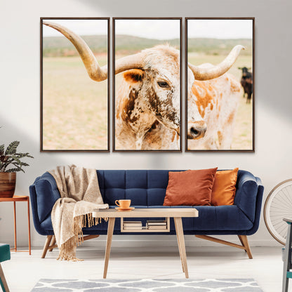 Close-up of a speckled Texas Longhorn in warm prairie tones, perfect for rustic western or countryside-themed room decor.