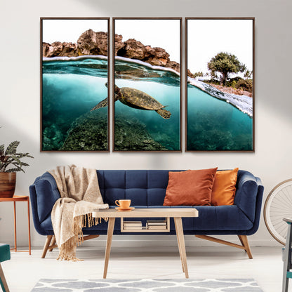 Dynamic split-view photo of a sea turtle swimming near rocky shores, perfect for vibrant coastal or tropical beach home decor.