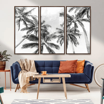 Black and white tropical palm trees viewed from below, swaying gently against a bright sky, creating a serene and elegant coastal atmosphere.