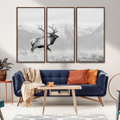 Black and white photograph of a majestic elk standing in a grassy field with snow-capped mountains in the background, creating a bold and rustic wilderness scene.