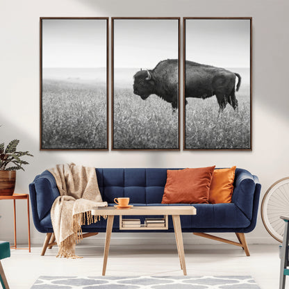 A black and white photograph of a majestic bison standing in a vast grassy prairie, evoking a sense of wilderness and strength.