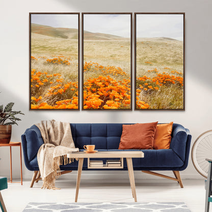 A golden field with vibrant orange poppies blooming across rolling hills under a soft, sunlit sky, creating a warm and rustic landscape.
