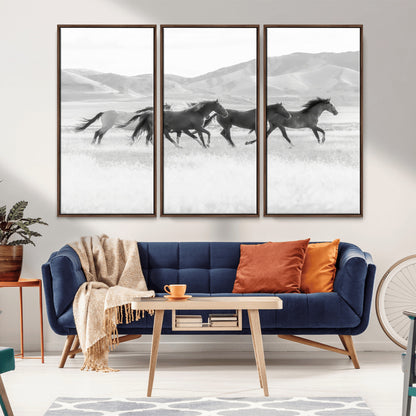 A black and white image of wild horses running freely across an open grassland, capturing the power and beauty of untamed nature in a rustic western setting.
