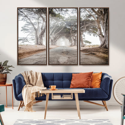 Canvas of a misty tree tunnel with arching cypress trees and an earthy road, ideal for rustic or coastal nature decor.