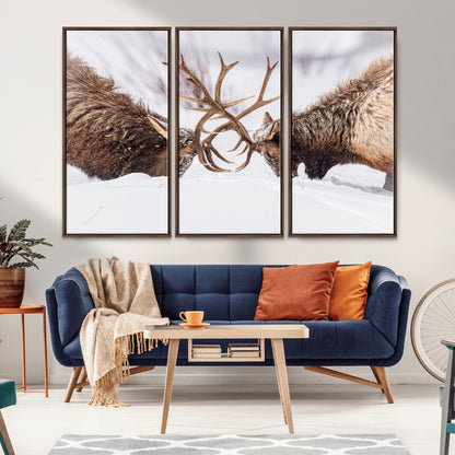 Two elk clashing antlers in a snowy forest, capturing raw power and wild energy, ideal for rustic cabin or lodge-style decor.
