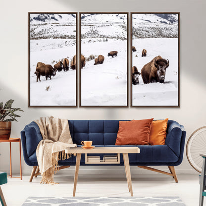 A herd of bison walking through deep snow in a mountain valley, perfect for rustic, cabin or western-themed wall decor.