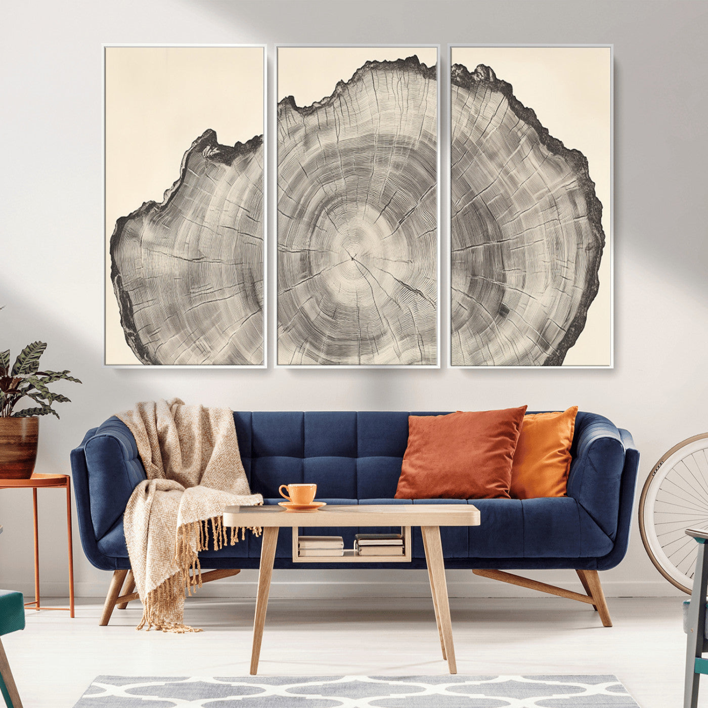 Detailed tree ring drawing in monochrome tones, ideal for rustic or nature-inspired interiors with a minimal decor aesthetic.
