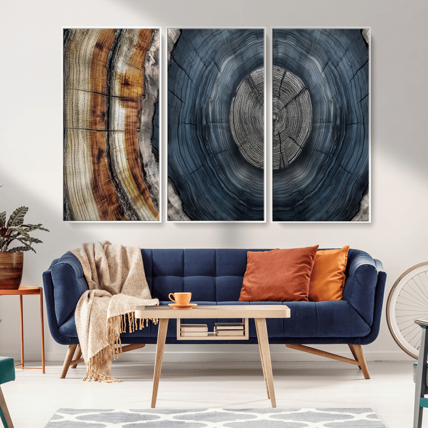 A stunning close-up of a tree trunk showing the intricate, circular growth rings, showcasing the natural textures and rich contrasts in deep blues, browns, and silvers.
