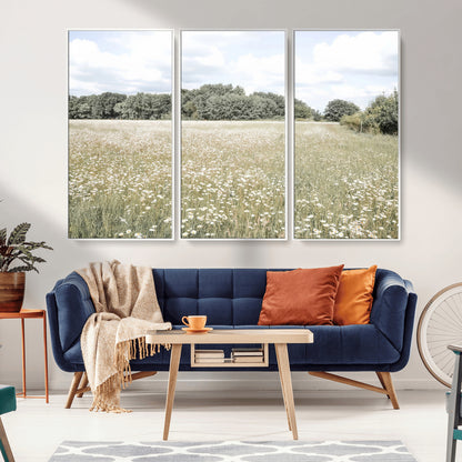 Soft-toned image of a wild daisy field under a cloudy sky, ideal for neutral or Scandinavian-inspired home decor.