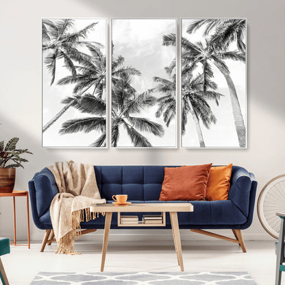 Black and white tropical palm trees viewed from below, swaying gently against a bright sky, creating a serene and elegant coastal atmosphere.