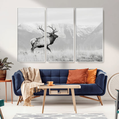 Black and white photograph of a majestic elk standing in a grassy field with snow-capped mountains in the background, creating a bold and rustic wilderness scene.