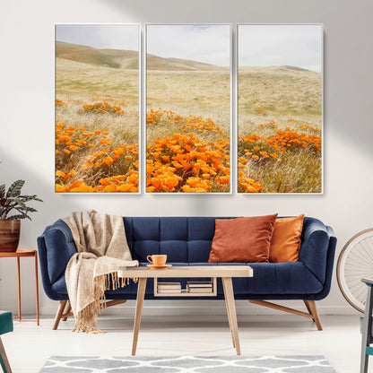 A golden field with vibrant orange poppies blooming across rolling hills under a soft, sunlit sky, creating a warm and rustic landscape.