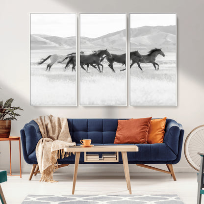 A black and white image of wild horses running freely across an open grassland, capturing the power and beauty of untamed nature in a rustic western setting.