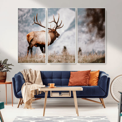 Majestic elk with large antlers standing in grass with snowy mountains in background, perfect for rustic cabin or lodge style decor.